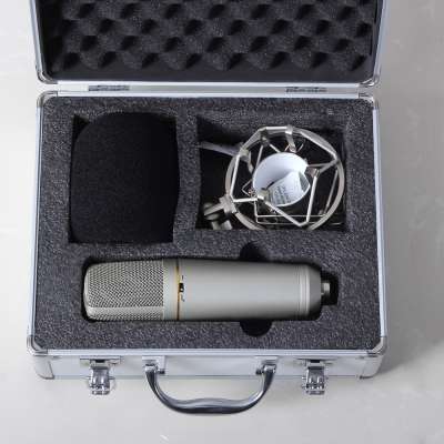 2018 Top Quality 2.4g wireless microphone professional recording