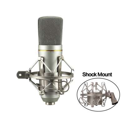 Professional studio home condenser recording microphone YR01